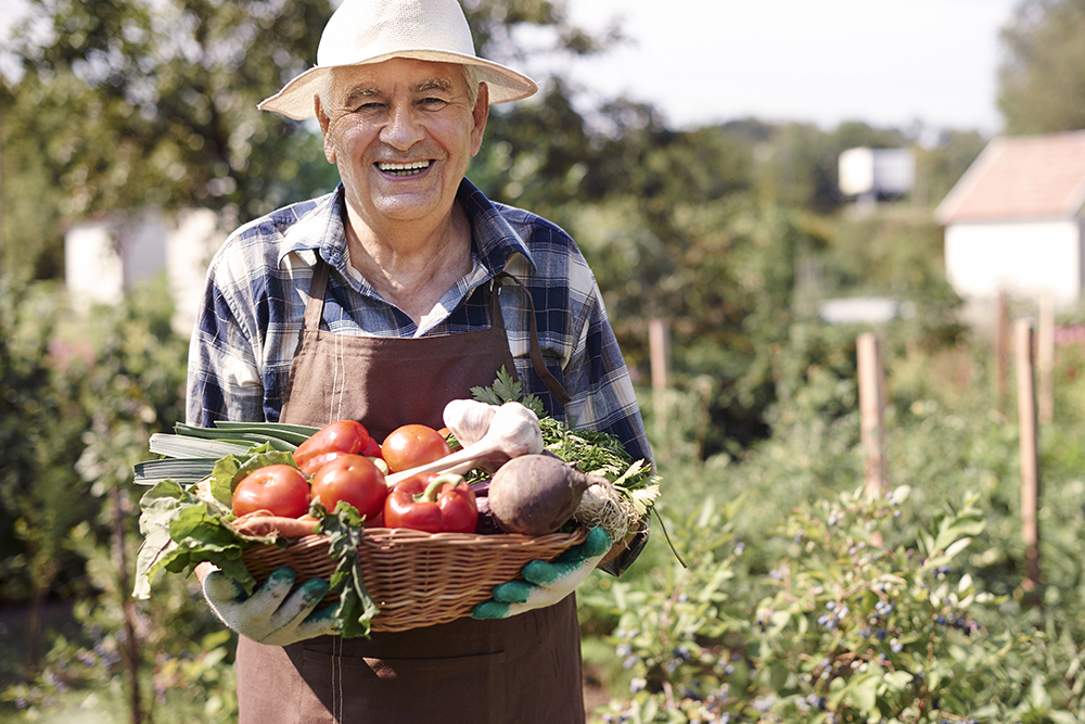 Trusted Organic Vendor