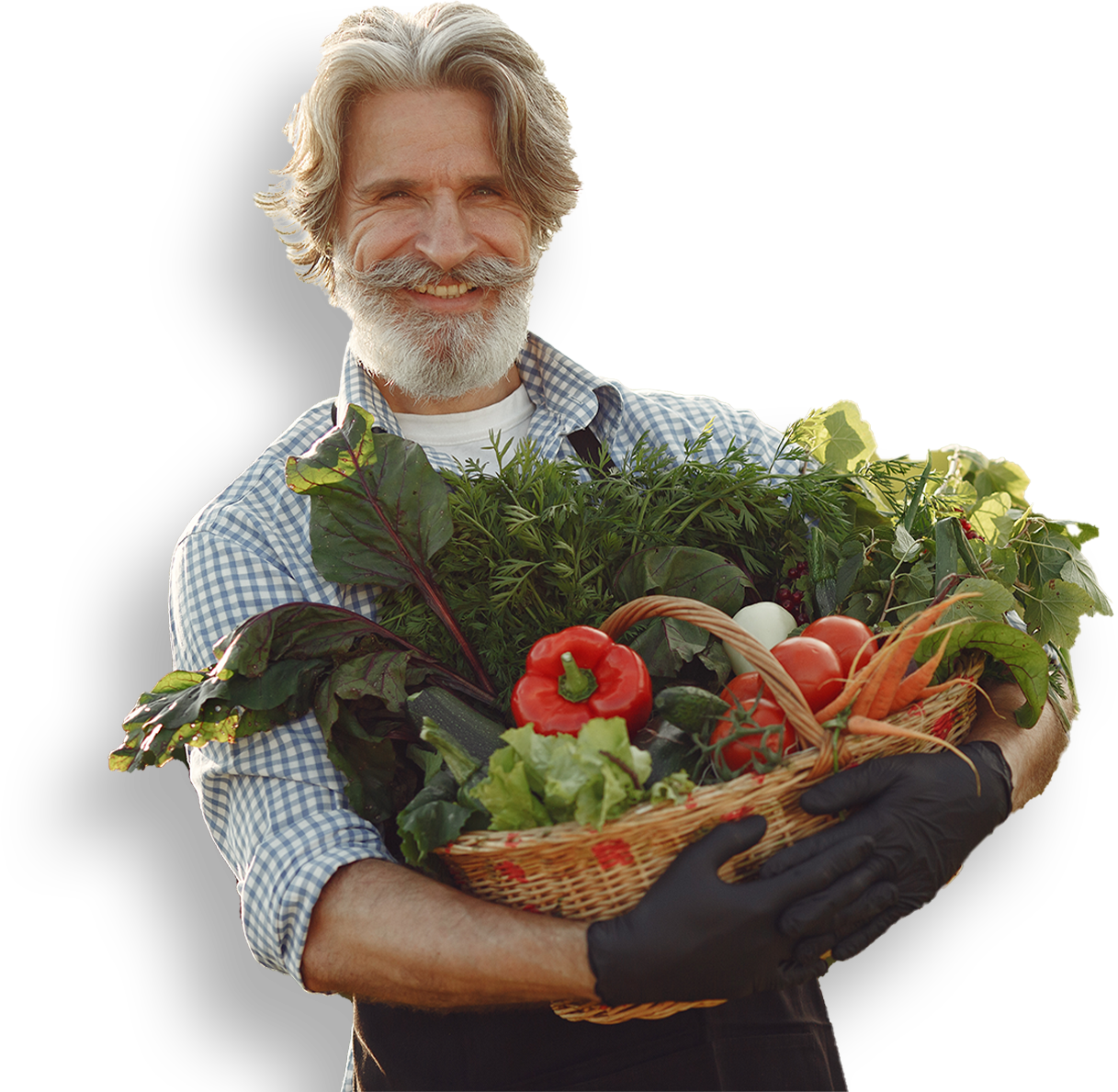 Organic Farming