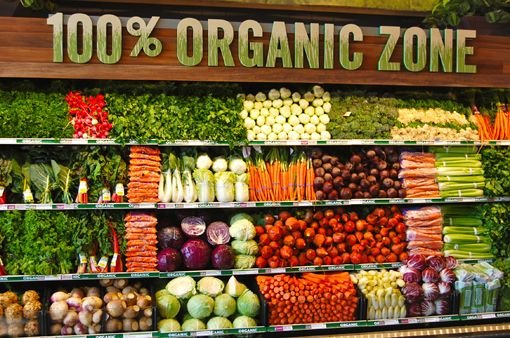 Welcome to Kemcol Organic Farm’s Blog