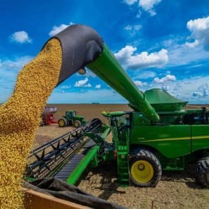 Agro-Processing
