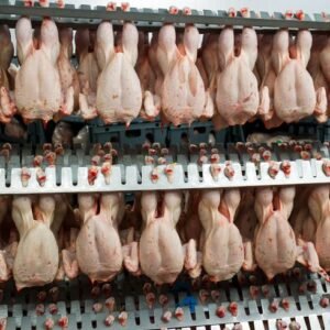 Livestock Processing