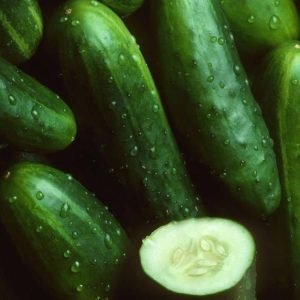 fresh organic cucumbers