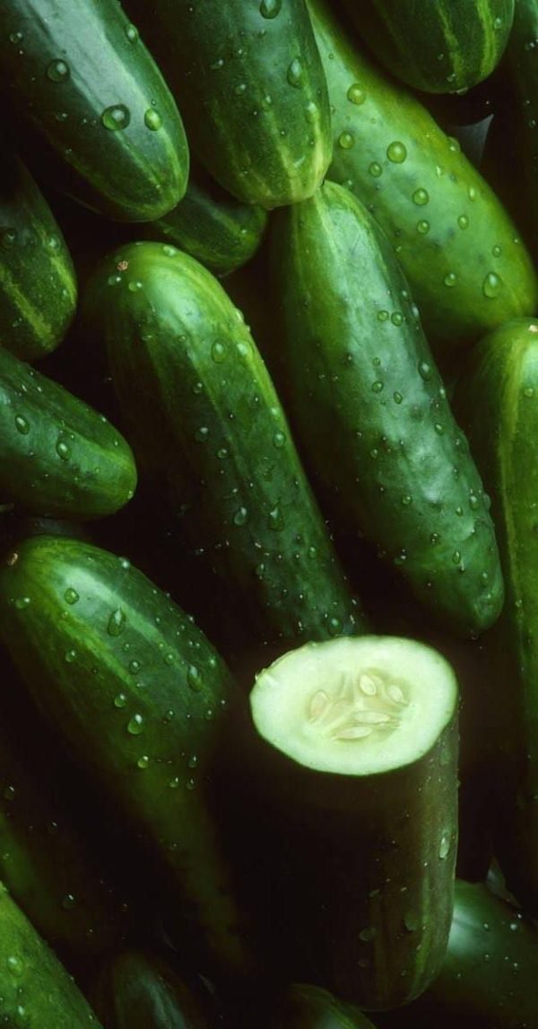 fresh organic cucumbers