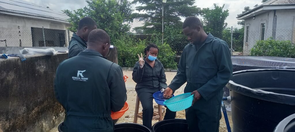 Home 20250927_093953