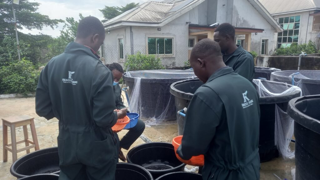 Home 20250927_094349