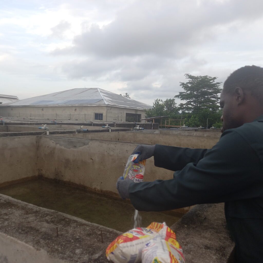 Home 20251030_174555