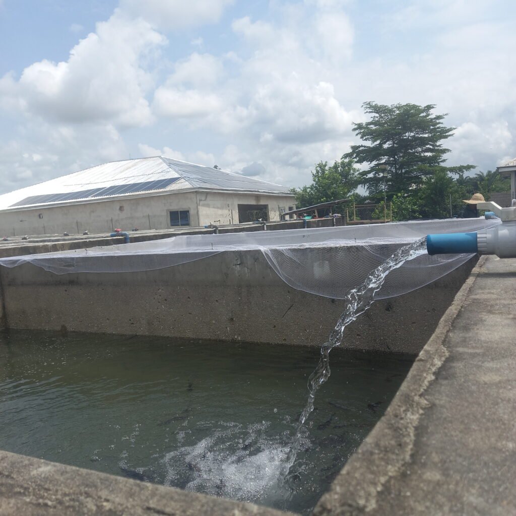 Home 20251101_111132