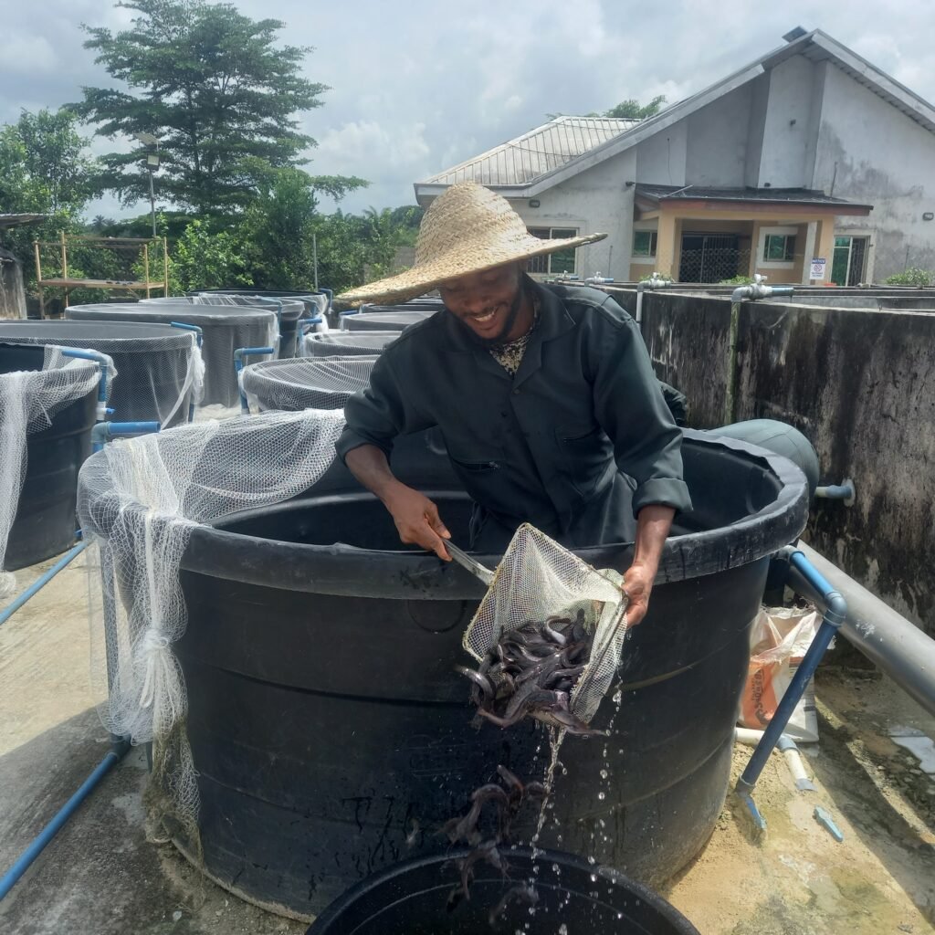 Home 20251101_111248