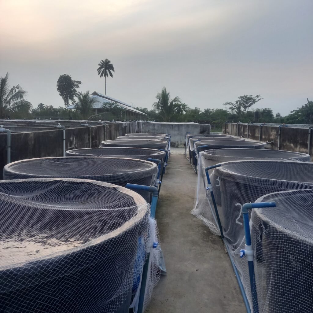 Home 20251126_180325