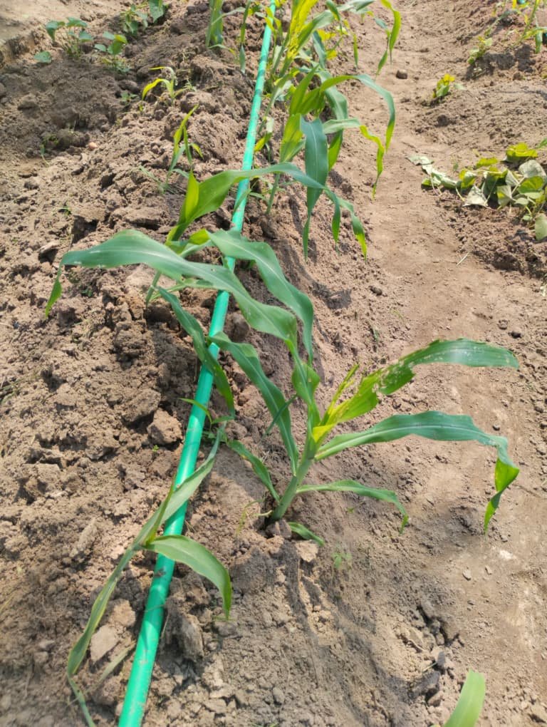 Home WhatsApp Image 2025-12-29 at 12.51.18 PM