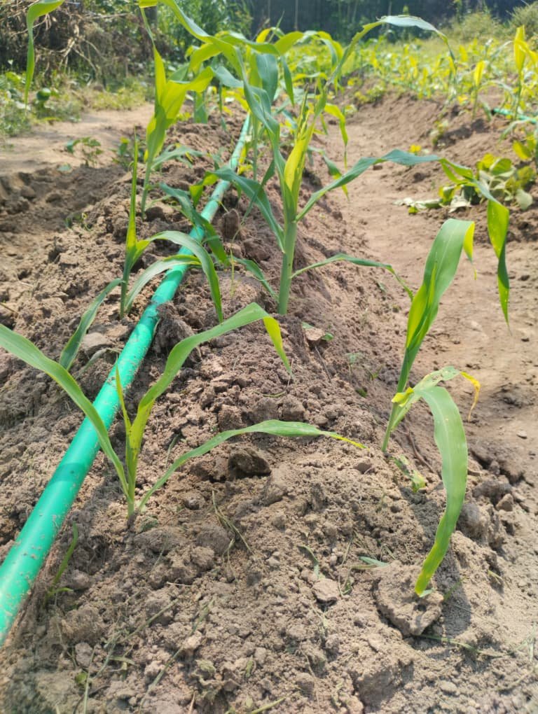 Home WhatsApp Image 2025-12-29 at 12.51.19 PM