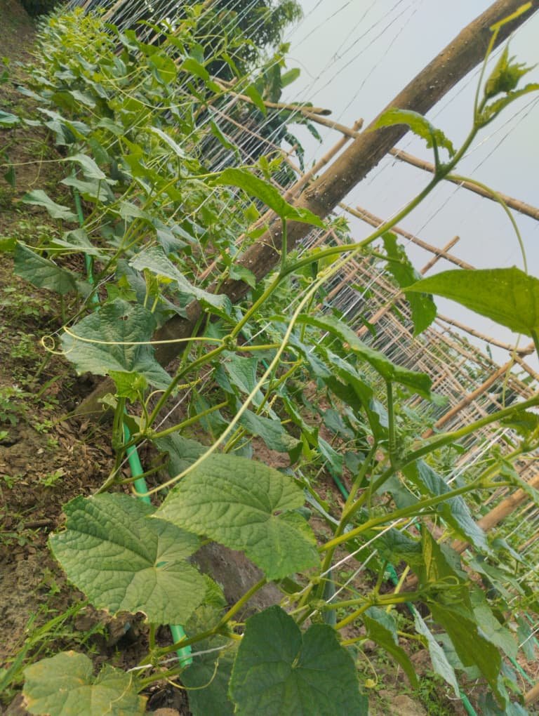 Home WhatsApp Image 2025-12-29 at 12.52.38 PM